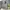Nike Casual Hoody Pria gray photo 5