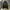 ZARA Streetwear Puffer jacket Pria black photo 1