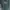 Lacoste Minimalist Casual Fleece Pria green photo 5