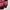Converse Vintage Sportswear Bomber jacket Pria burgundy photo 6