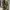 Realtree Streetwear Tracksuit Pria tan brown photo 2