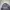 Beams Vintage Casual Harrington Jacket Pria Gray