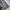 Beams Vintage Casual Harrington jacket Pria gray photo 5