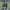 Pierre Cardin Futurist Casual Cardigan Pria purple green photo 2