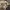 Streetwear Skater Jeans Pria multicolor photo 5