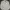Polo Ralph Lauren Casual Harrington Jacket Pria Cream