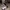 Nike Air Jordan Vintage Y2K Sneakers Pria white black photo 1