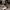 Nike Air Jordan Vintage Y2K Sneakers Pria White Black