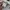 Le Coq Sportif Streetwear Sweatshirt Pria white photo 3
