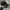 Made in USA Streetwear Hat Pria black photo 4