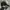 Oakley Vintage Streetwear Hat Pria black photo 4