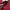 H&M Streetwear Hoody Pria red photo 3