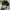 Rocawear Streetwear Y2K Hat Pria black photo 5