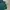 Sportswear Hoody Pria green photo 3