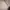 Casual Puffer jacket Pria tan photo 4