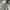 Sergio Tacchini Vintage Casual Harrington jacket Pria gray photo 2