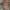Von Dutch Streetwear Y2K Hat Pria brown photo 1