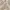 H&M Casual Sweater Wanita white cream photo 6