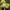 Asics Sportswear Boots Pria white yellow photo 4