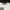 LMC Streetwear Sportswear Sweatshirt Pria cream photo 2