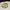 LMC Streetwear Sportswear Sweatshirt Pria cream photo 6