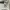 LMC Streetwear Sportswear Sweatshirt Pria cream photo 3