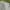 Luxury Minimalist Formal shirt Pria gray photo 2