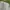 Luxury Minimalist Formal Shirt Pria Gray