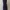Tommy Hilfiger Casual Casual dress Wanita navy photo 3