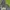 Lee Streetwear Minimalist Hoody Pria navy photo 2