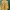 Casual Bomber jacket Pria tan brown photo 1