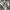 Burberry Streetwear Luxury Shirt Wanita tan cream photo 5