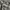 Burberry Streetwear Luxury Shirt Wanita tan cream photo 6
