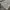 Burberry Streetwear Luxury Shirt Wanita tan cream photo 7
