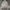 Burberry Streetwear Luxury Shirt Wanita tan cream photo 1