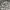 Burberry Streetwear Luxury Shirt Wanita tan cream photo 3