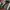 Vintage Y2K Bag Pria red black photo 4