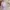 Fairy Going out dress Wanita green photo 6