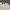 Yves Saint Laurent YSL Vintage Y2K Polo shirt Pria white photo 2