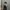 Grunge Goth Evening dress Wanita black photo 1