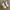 Airwalk Vintage Y2K Sneakers Pria white gray photo 3