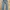 Vintage Streetwear Jeans Pria blue photo 1