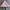 Betty Boop Y2K Skater Harrington jacket Pria pink photo 5