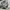 Streetwear Casual Casual pants Pria cream photo 5