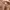 ELLE Vintage Streetwear Casual pants Pria brown photo 2