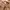 ELLE Vintage Streetwear Casual pants Pria brown photo 3