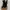 Bellagio Goth Casual Ankle boots Wanita black photo 1
