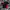 Umbro Vintage Sportswear Jersey Pria red black photo 1