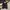Skater Casual Windbreaker Pria multicolor photo 2