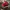 Nike Air Jordan Vintage Y2K Sneakers Pria red black photo 1